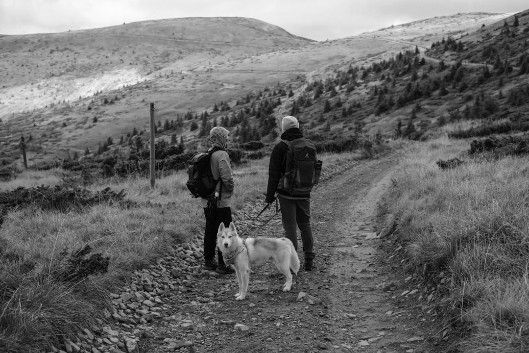 Photo Hiking together